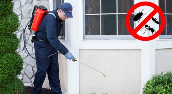 Avcılar Böcek İlaçlama böcek ilaçlama ve haşere kontrolü — ilaclama-tr.com